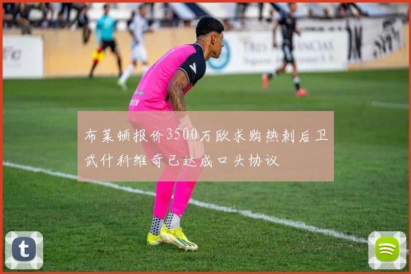 布莱顿报价3500万欧求购热刺后卫武什科维奇已达成口头协议